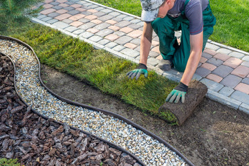 Sunshine Landscapes crew installing sod