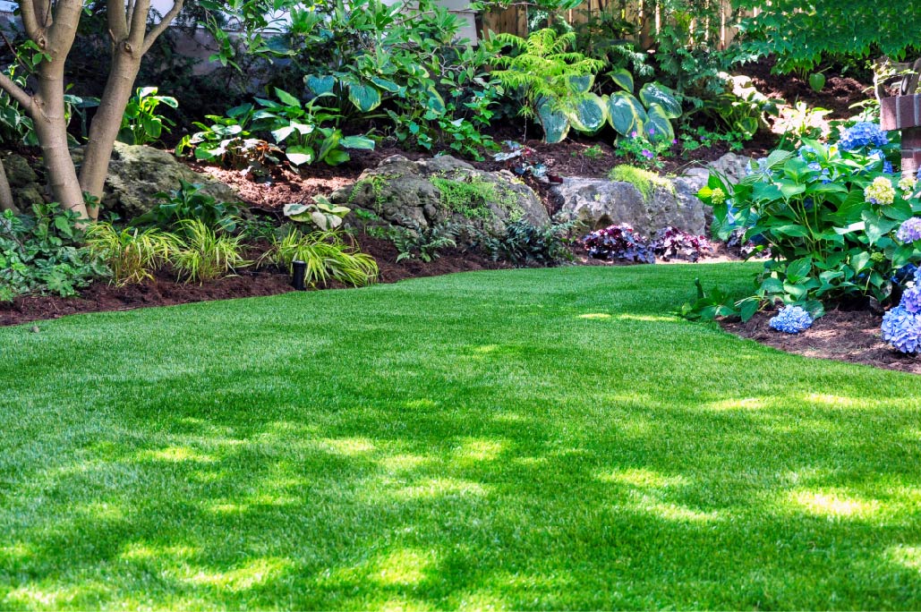 Beautiful maintained lawn