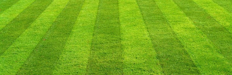 Freshly mowed lawn with crisp stripes